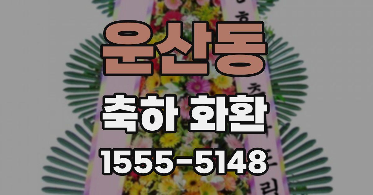 운산동 축하 화환