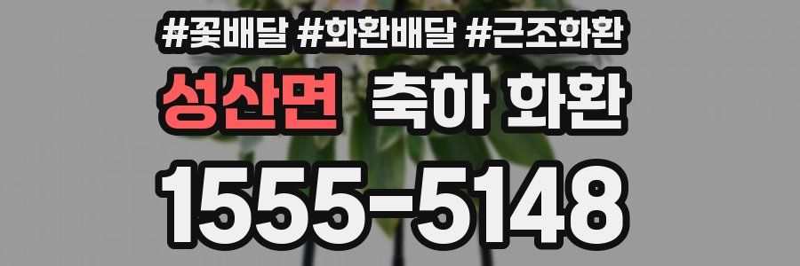 성산면 축하 화환