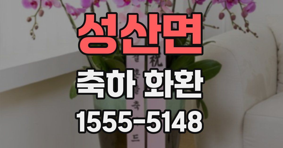 성산면 축하 화환