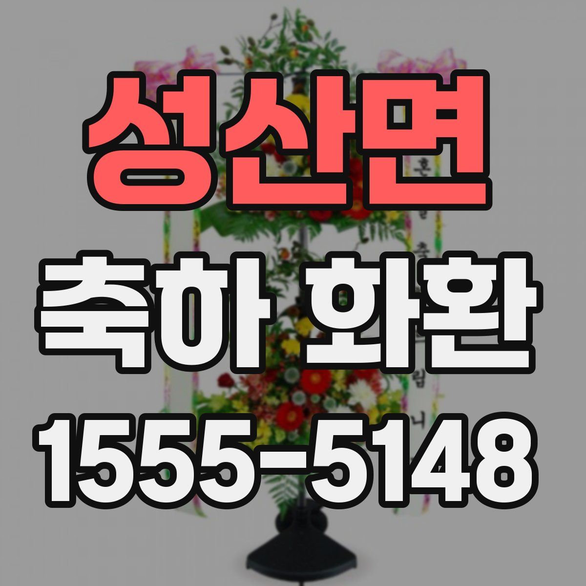 성산면 축하 화환