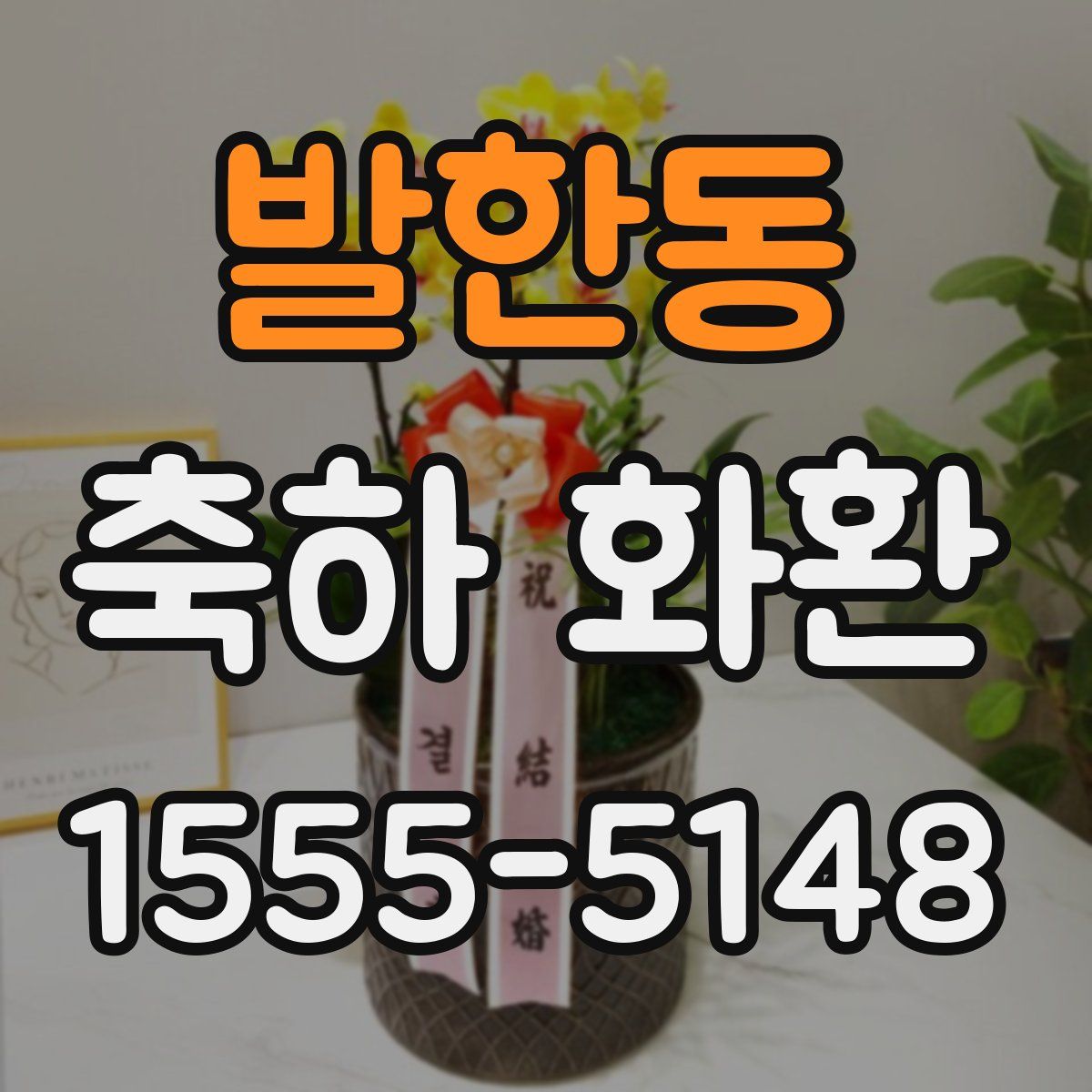 발한동 축하 화환