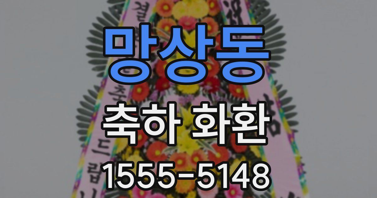 망상동 축하 화환