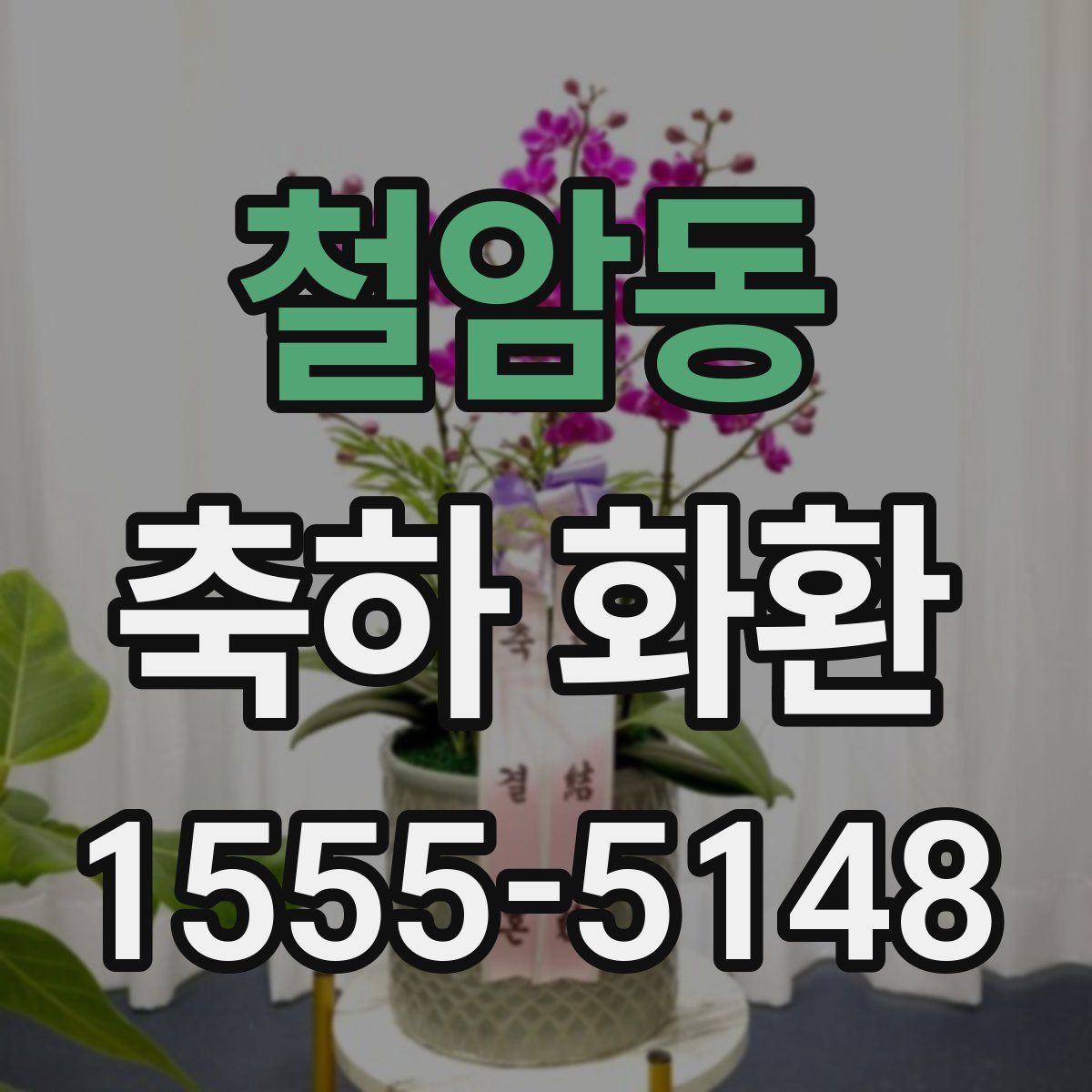 철암동 축하 화환