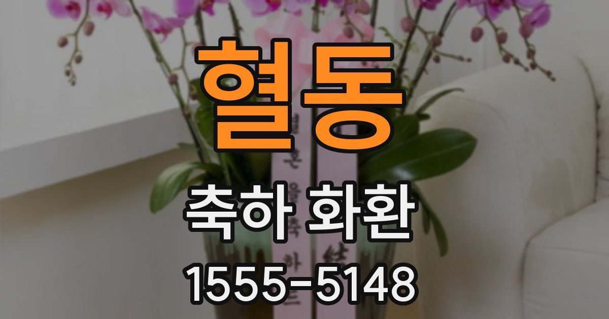 혈동 축하 화환