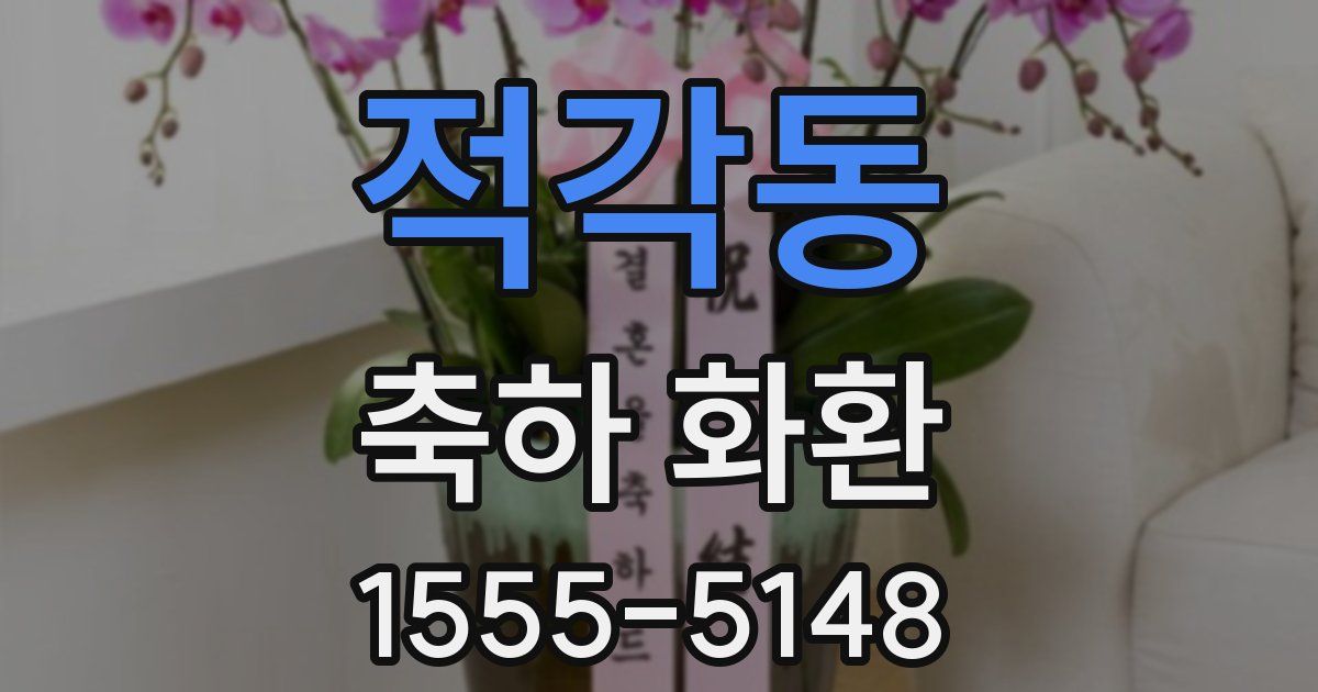 적각동 축하 화환