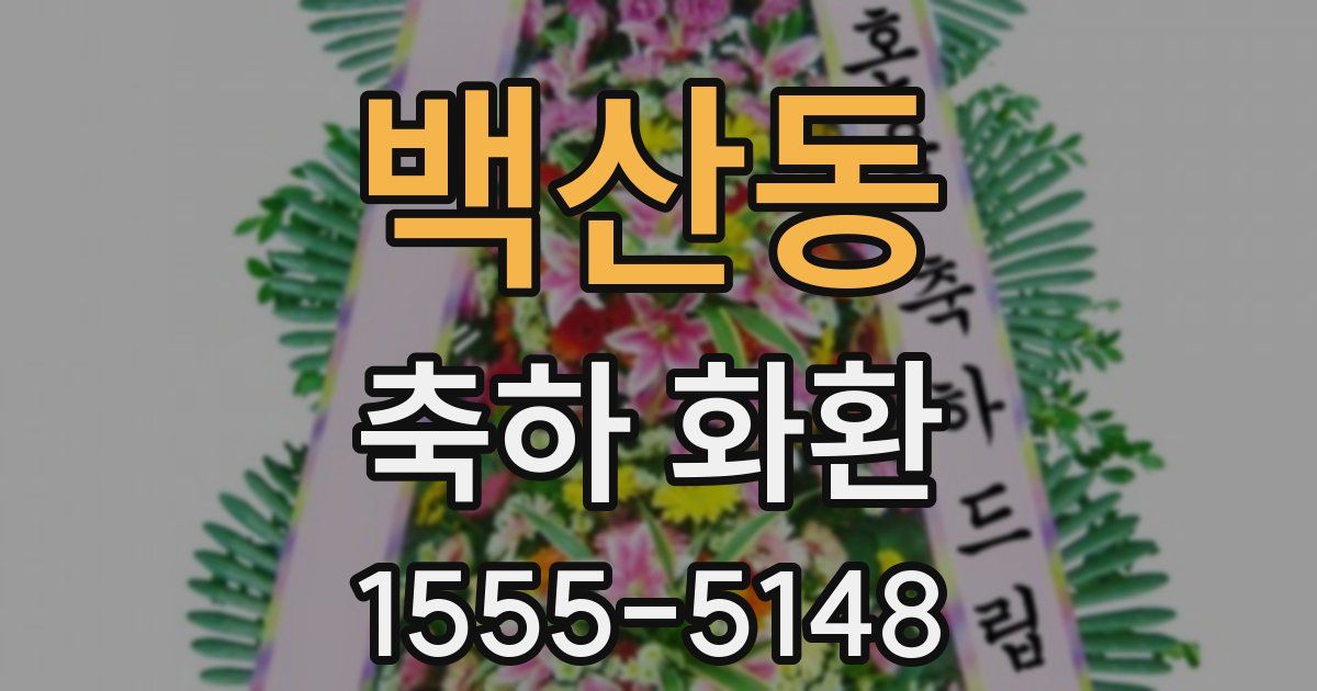 백산동 축하 화환