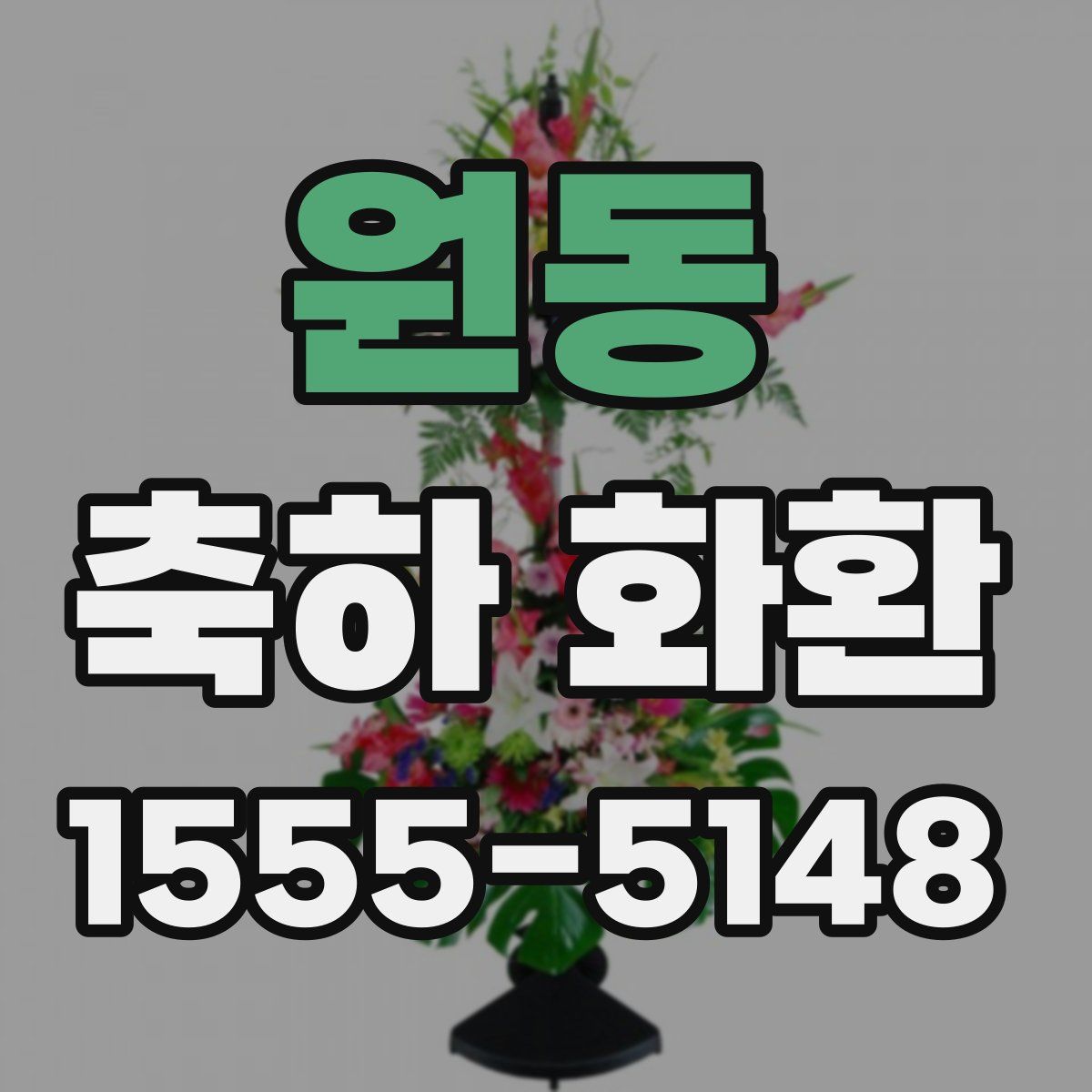 원동 축하 화환
