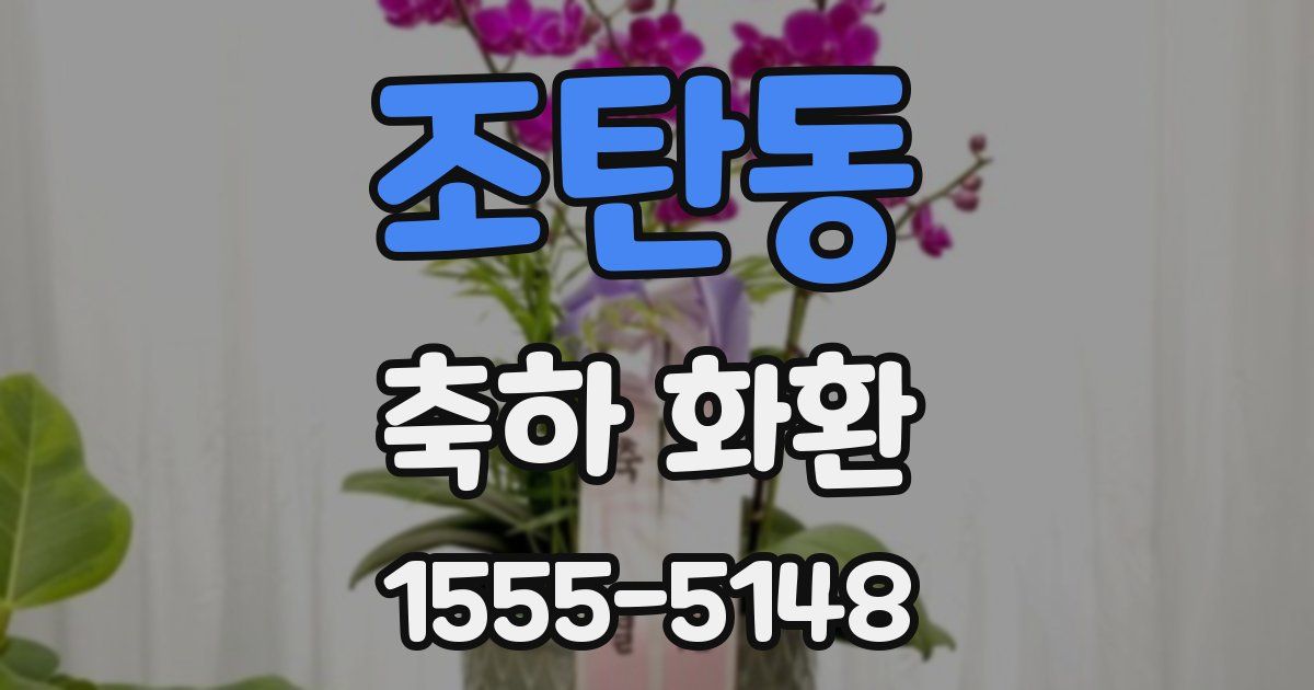 조탄동 축하 화환