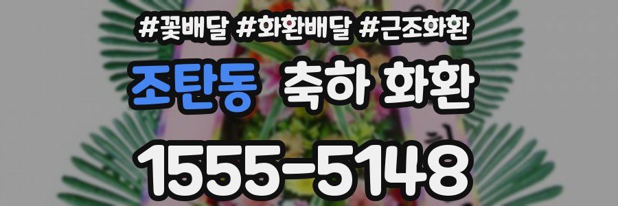 조탄동 축하 화환