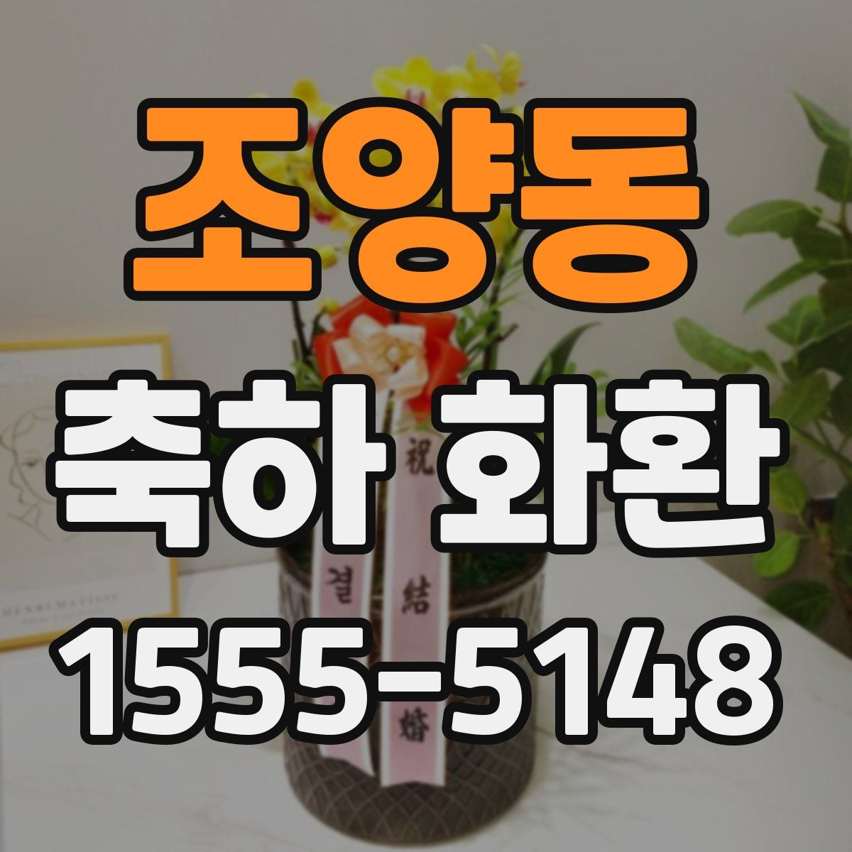 조양동 축하 화환