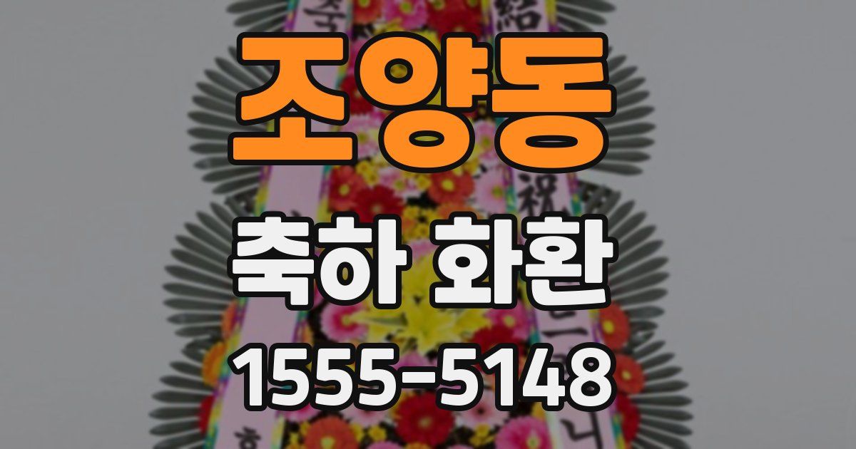 조양동 축하 화환