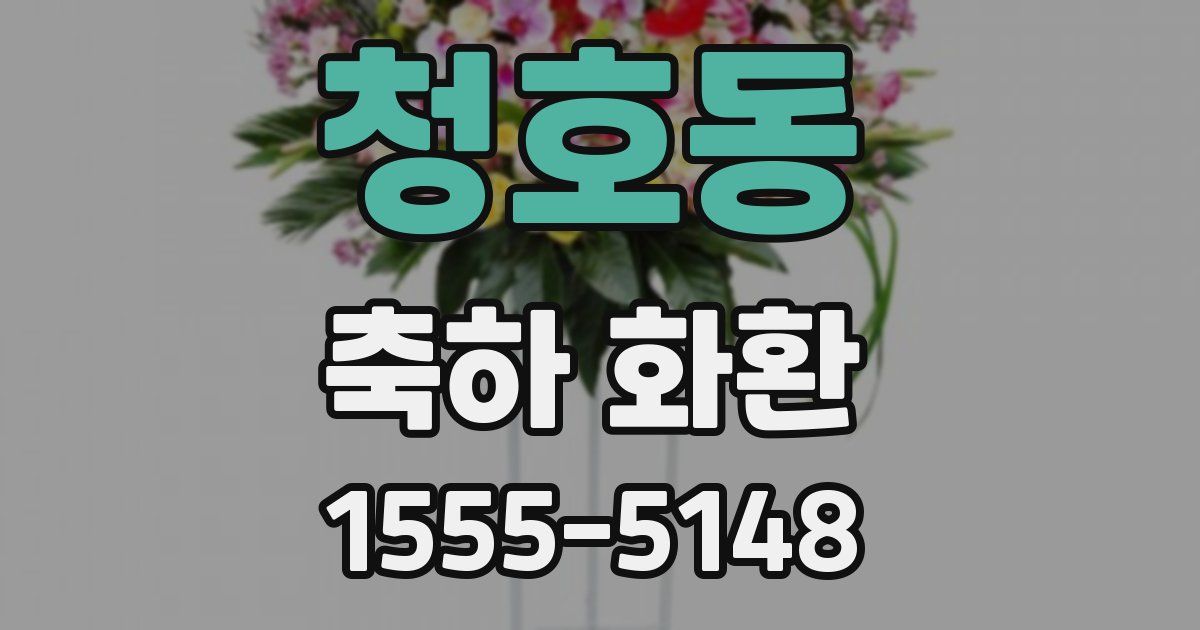 청호동 축하 화환