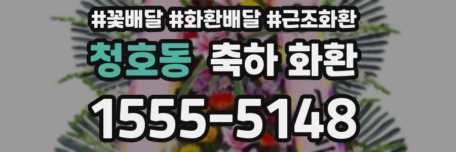 청호동 축하 화환