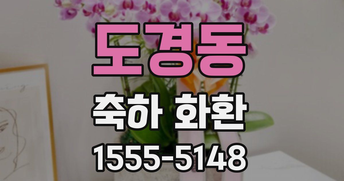 도경동 축하 화환