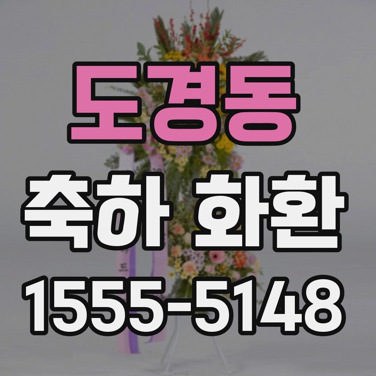 도경동 축하 화환