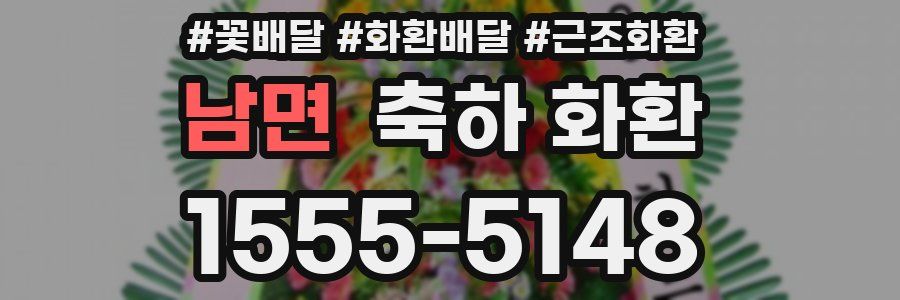 남면 축하 화환