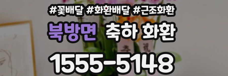 북방면 축하 화환