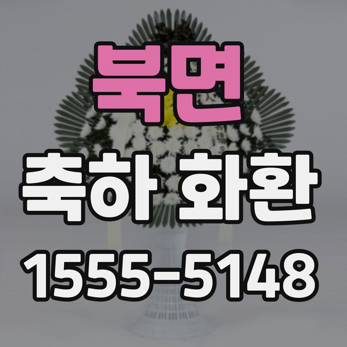 북면 축하 화환