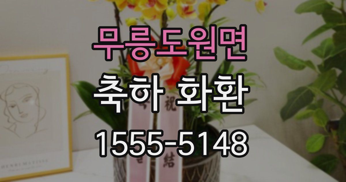 무릉도원면 축하 화환