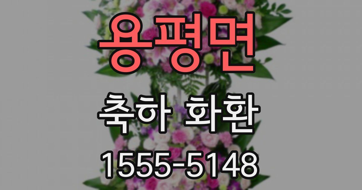 용평면 축하 화환