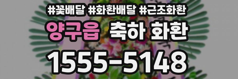 양구읍 축하 화환