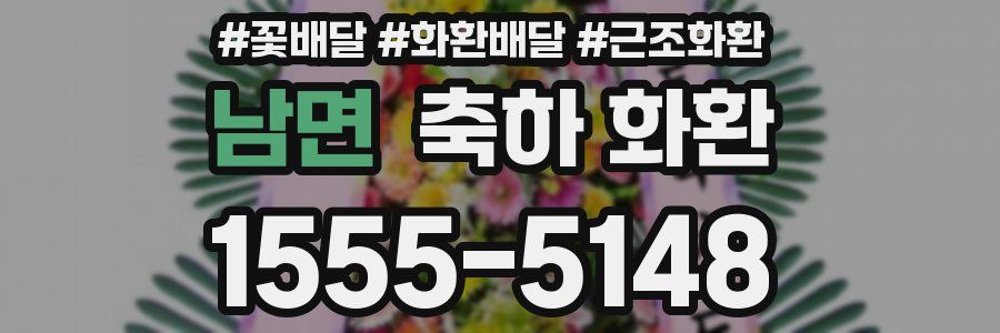 남면 축하 화환