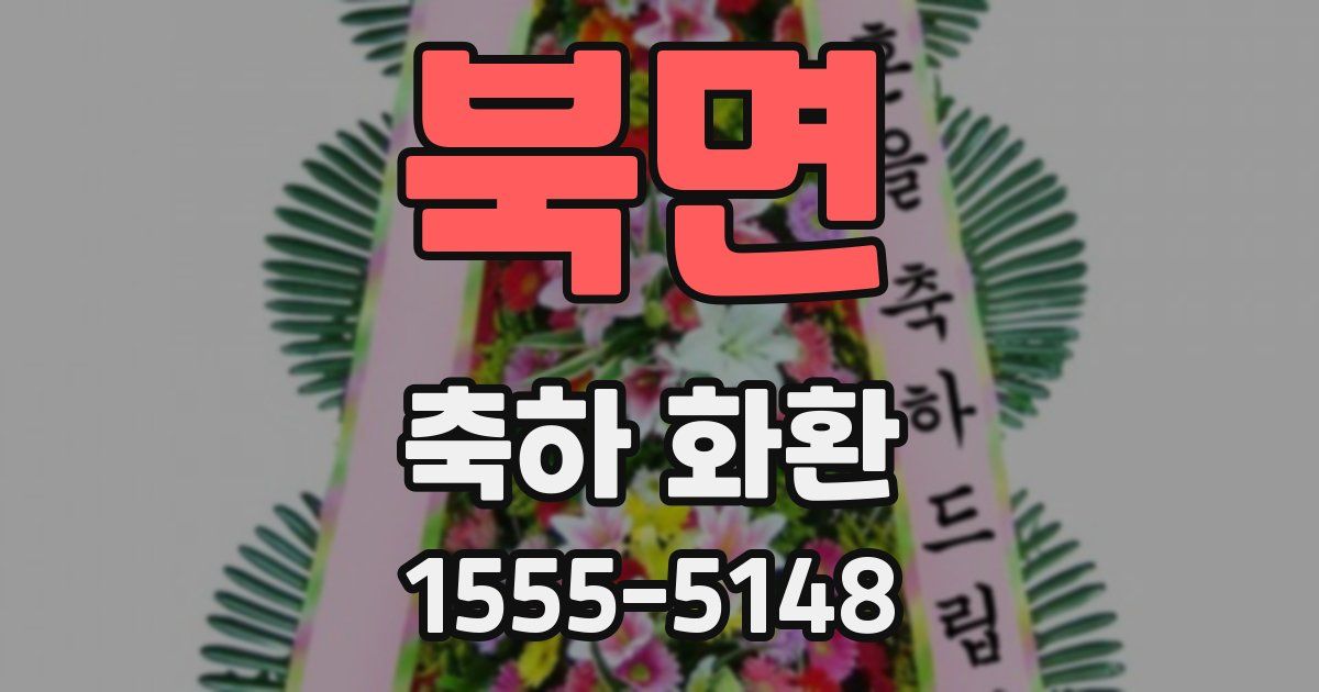 북면 축하 화환