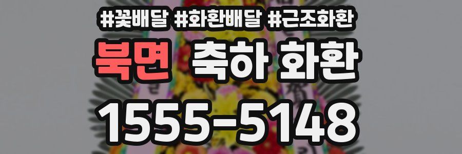 북면 축하 화환