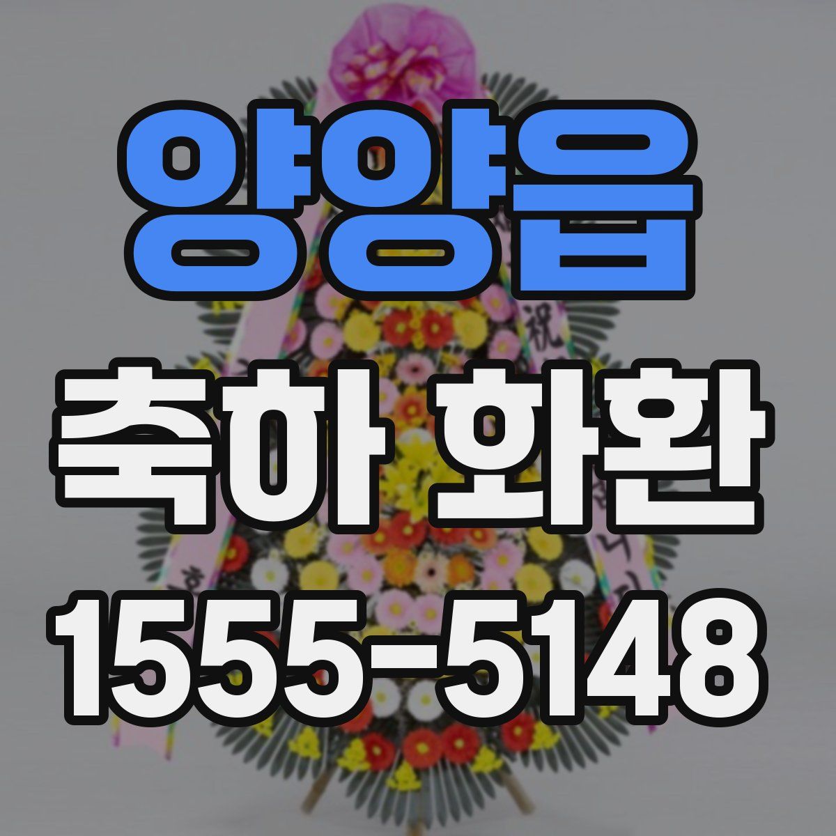 양양읍 축하 화환