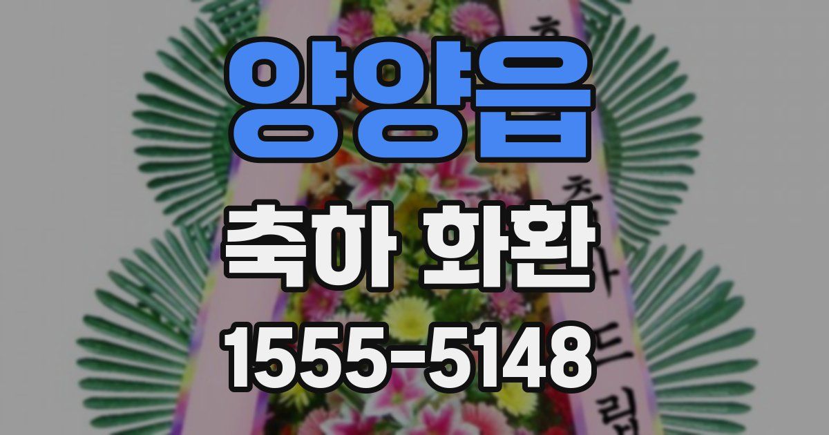 양양읍 축하 화환