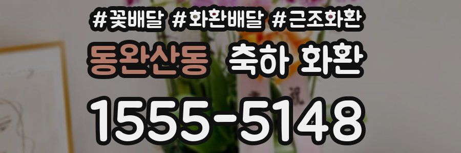 동완산동 축하 화환