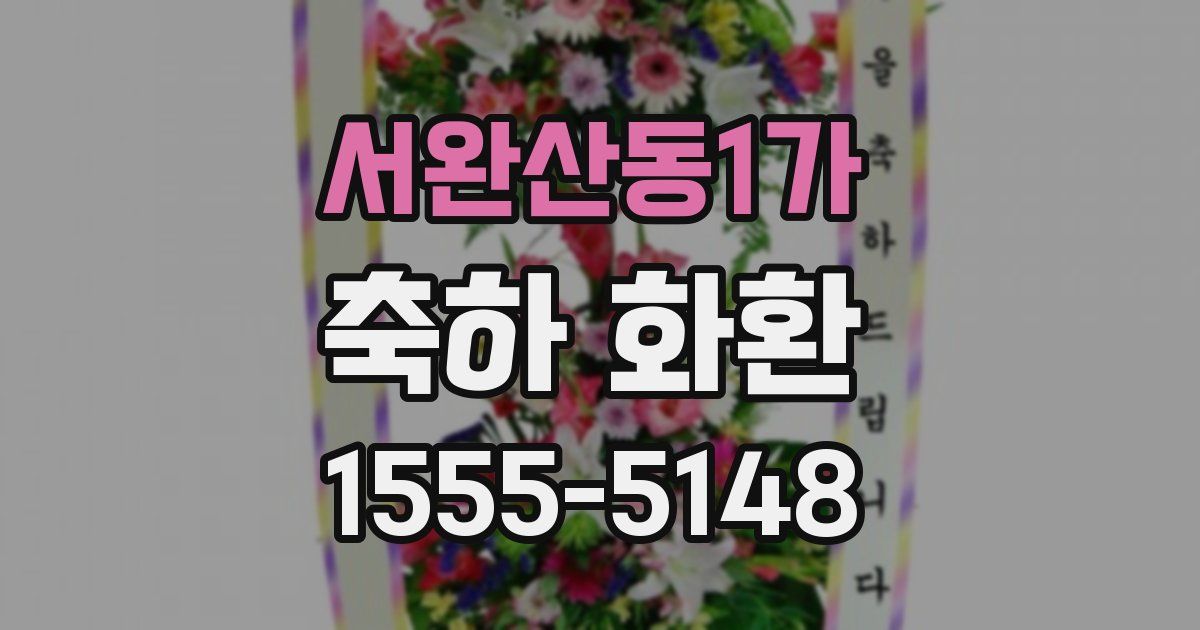 서완산동1가 축하 화환