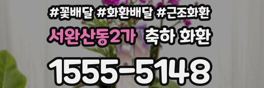 서완산동2가 축하 화환