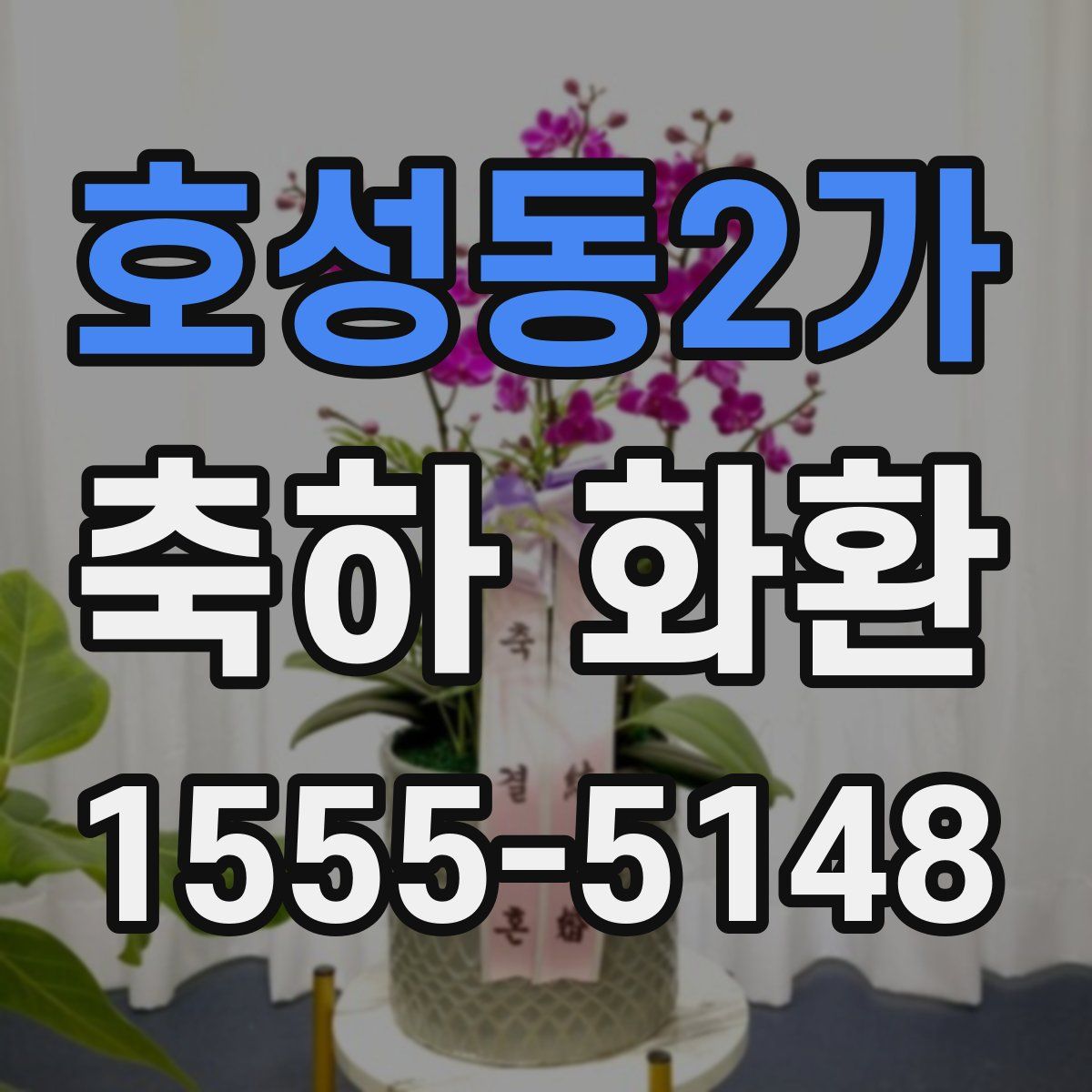 호성동2가 축하 화환
