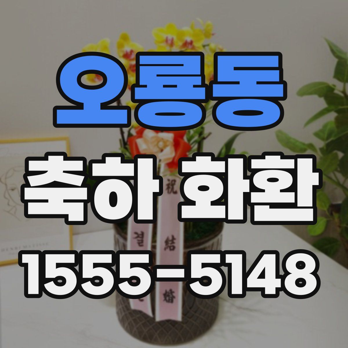 오룡동 축하 화환