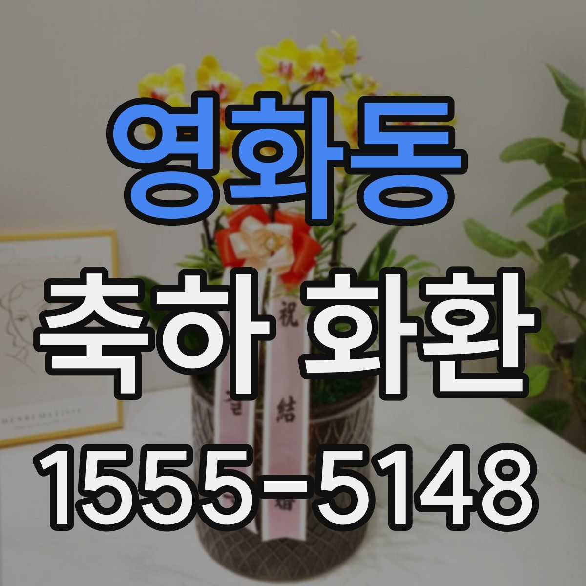 영화동 축하 화환