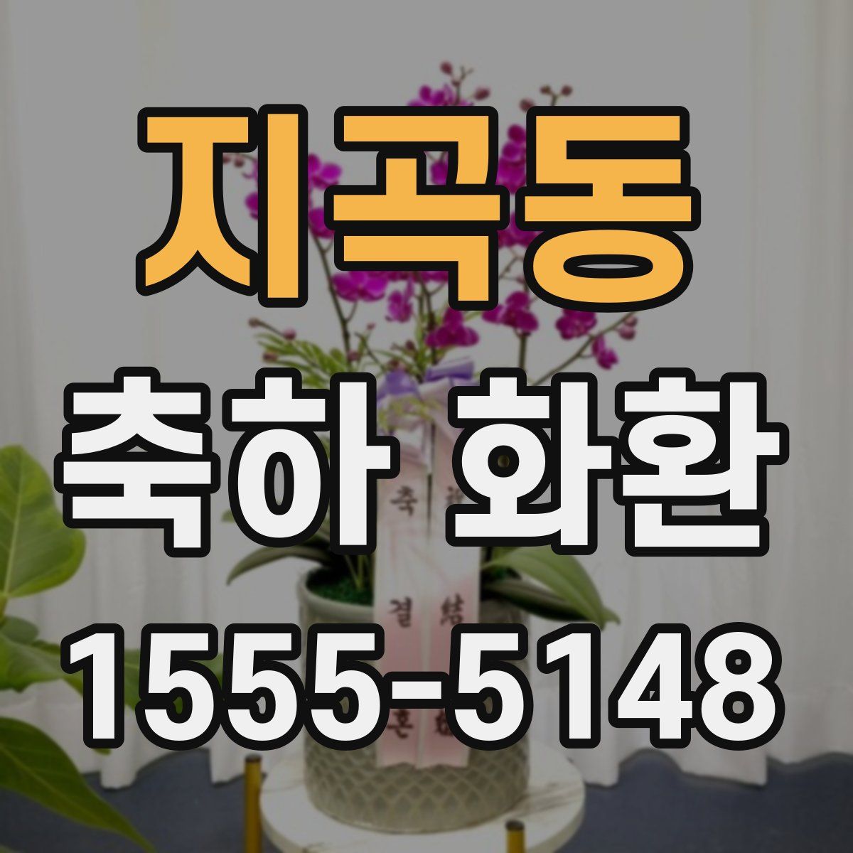 지곡동 축하 화환