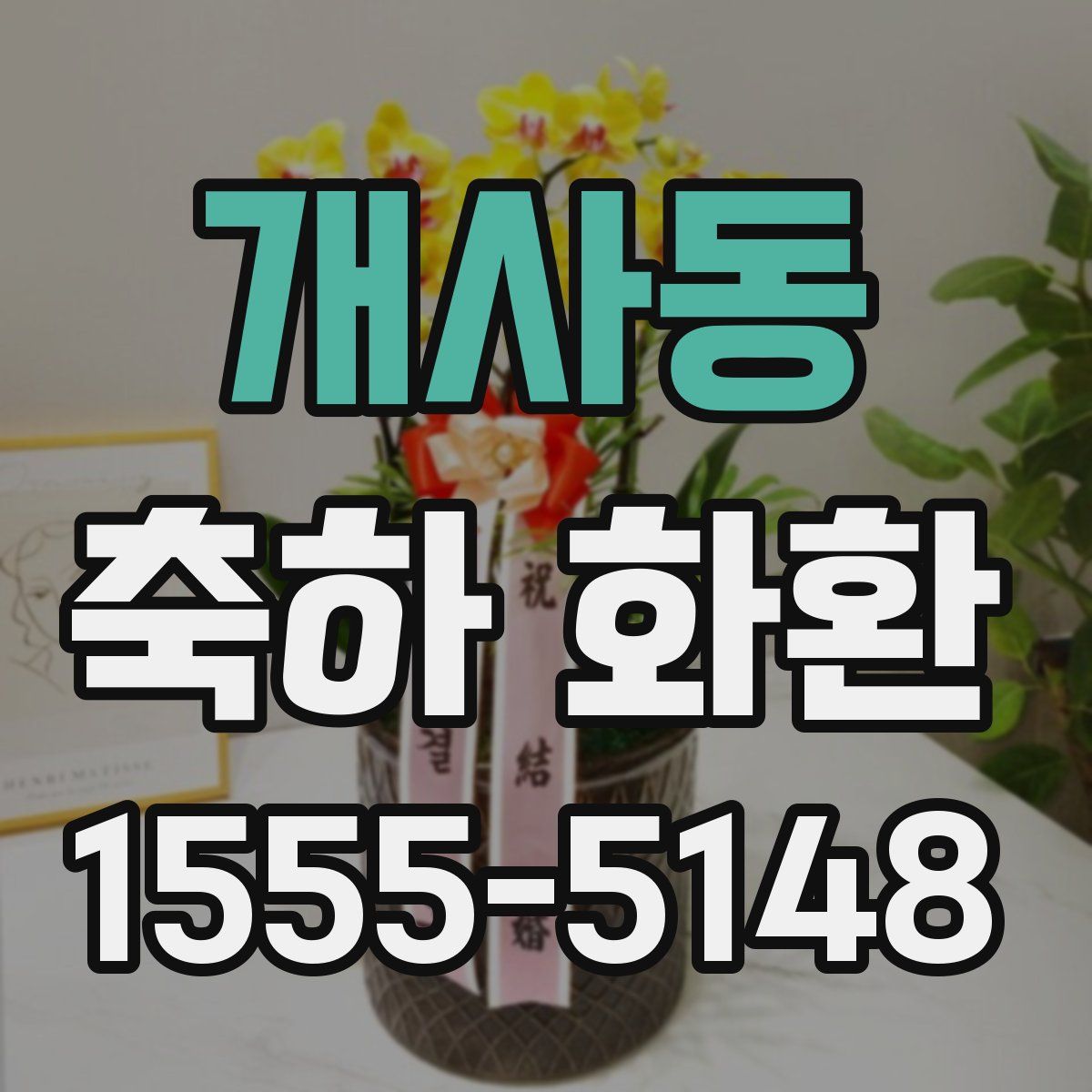 개사동 축하 화환