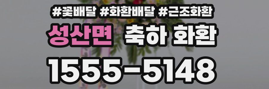 성산면 축하 화환