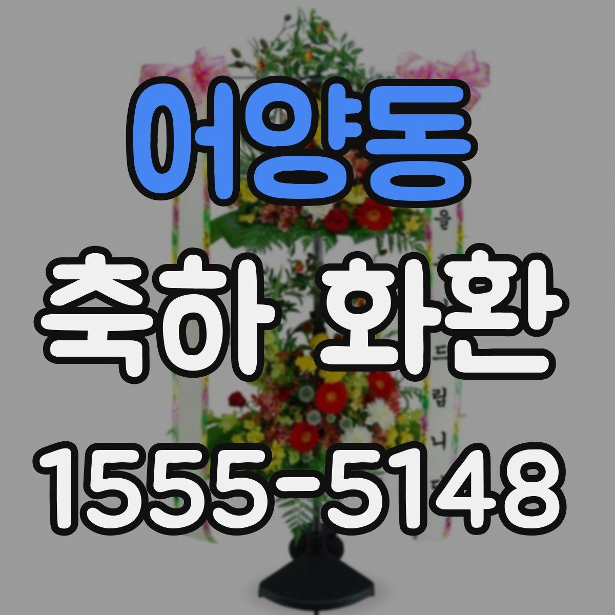 어양동 축하 화환