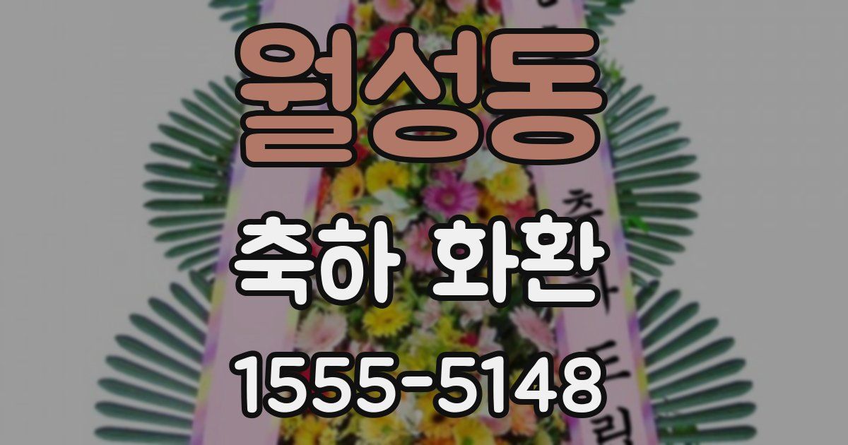월성동 축하 화환
