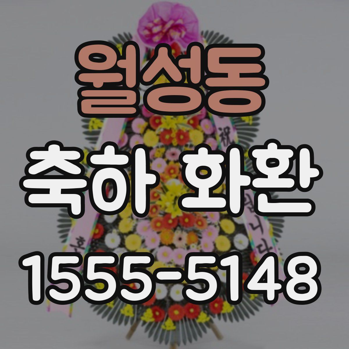 월성동 축하 화환