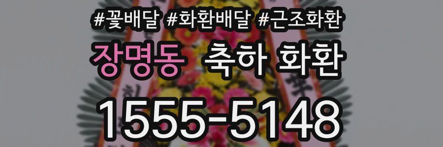 장명동 축하 화환