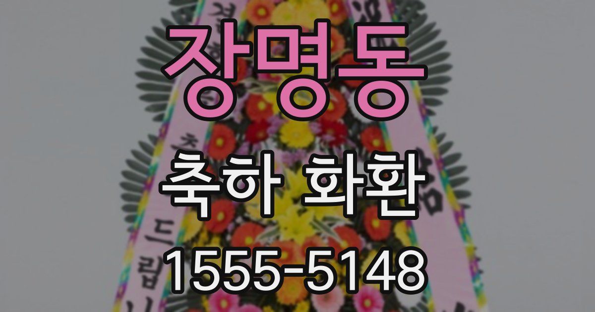장명동 축하 화환