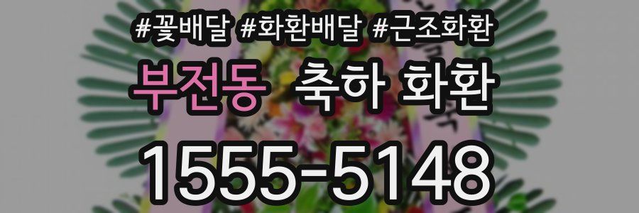부전동 축하 화환
