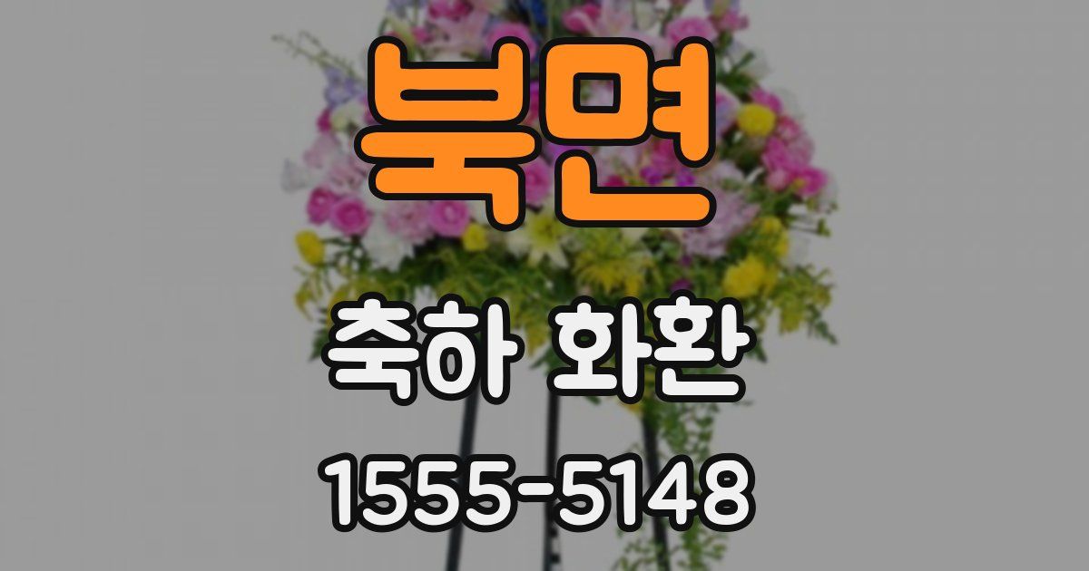 북면 축하 화환