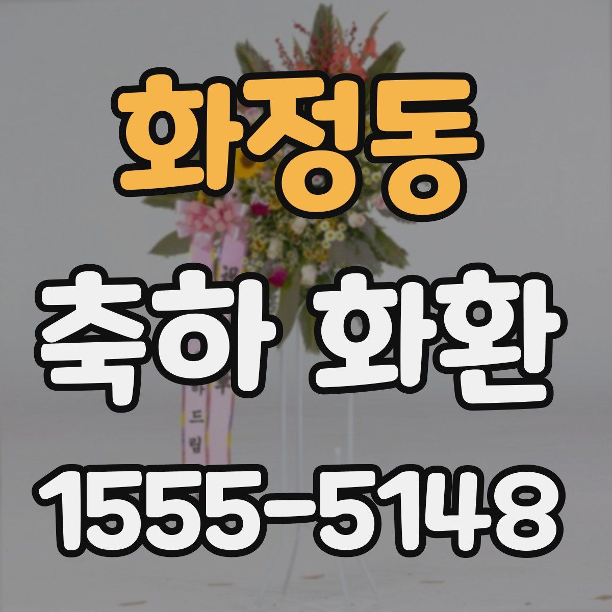 화정동 축하 화환