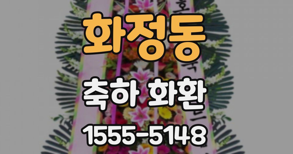 화정동 축하 화환