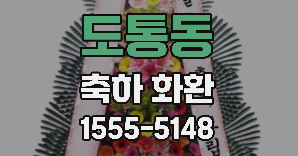 도통동 축하 화환