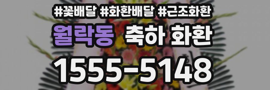 월락동 축하 화환